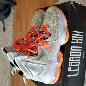 Nike Lebron XIX Fast Food Fox Grey/Roma Green size 7 Youth EUC